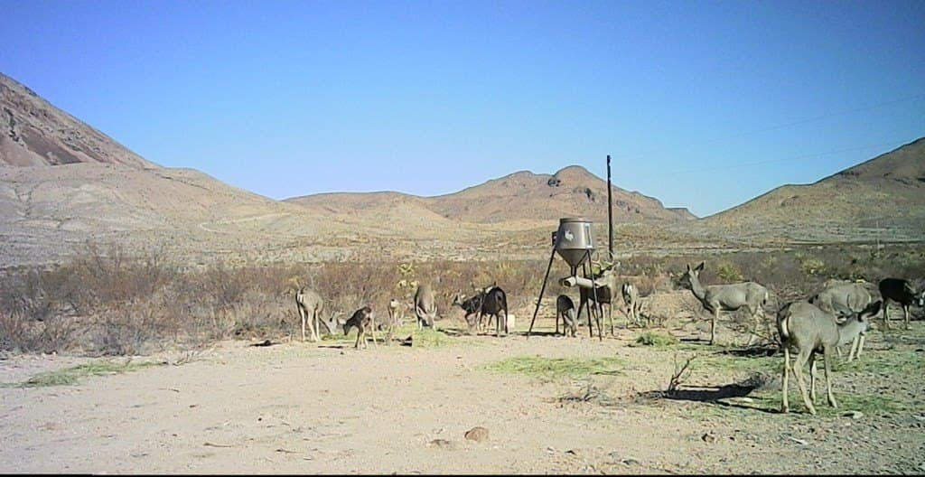 40 acres in Brewster County - photo 3