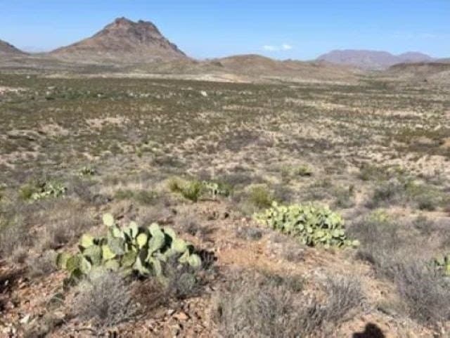 40 acres in Brewster County - photo 20