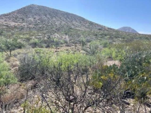 40 acres in Brewster County - photo 19