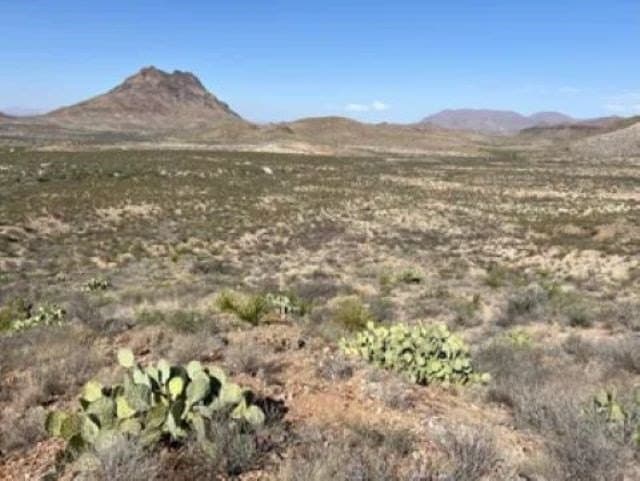 40 acres in Brewster County - photo 12