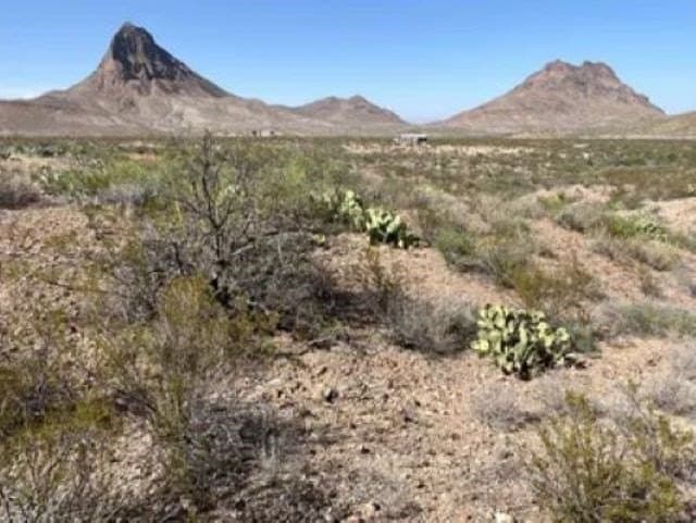 40 acres in Brewster County - photo 8