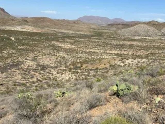 40 acres in Brewster County - photo 17