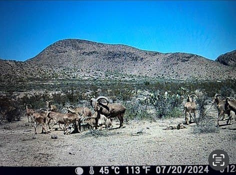 40 acres in Brewster County - photo 28