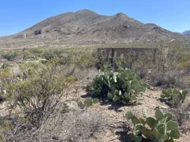 40 acres in Brewster County - photo 18