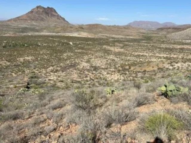 40 acres in Brewster County - photo 15