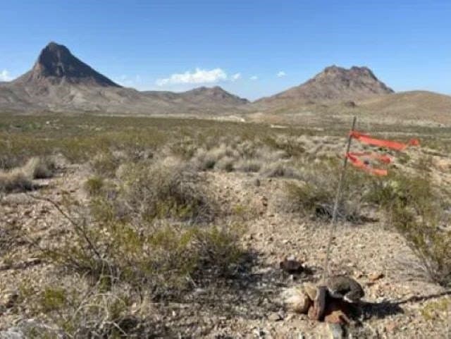 40 acres in Brewster County - photo 13