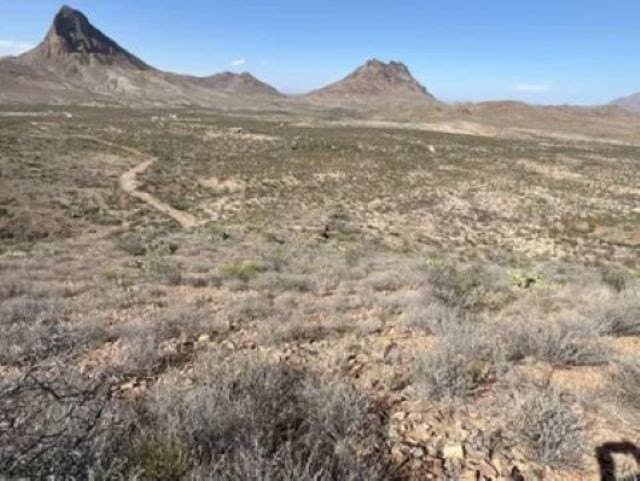 40 acres in Brewster County - photo 10