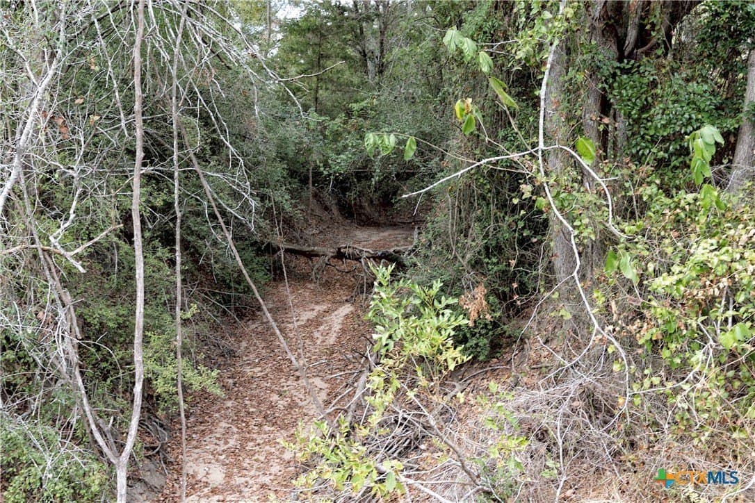 115.16 acres in Lavaca County - photo 41