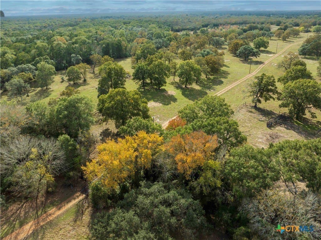 115.16 acres in Lavaca County - photo 39