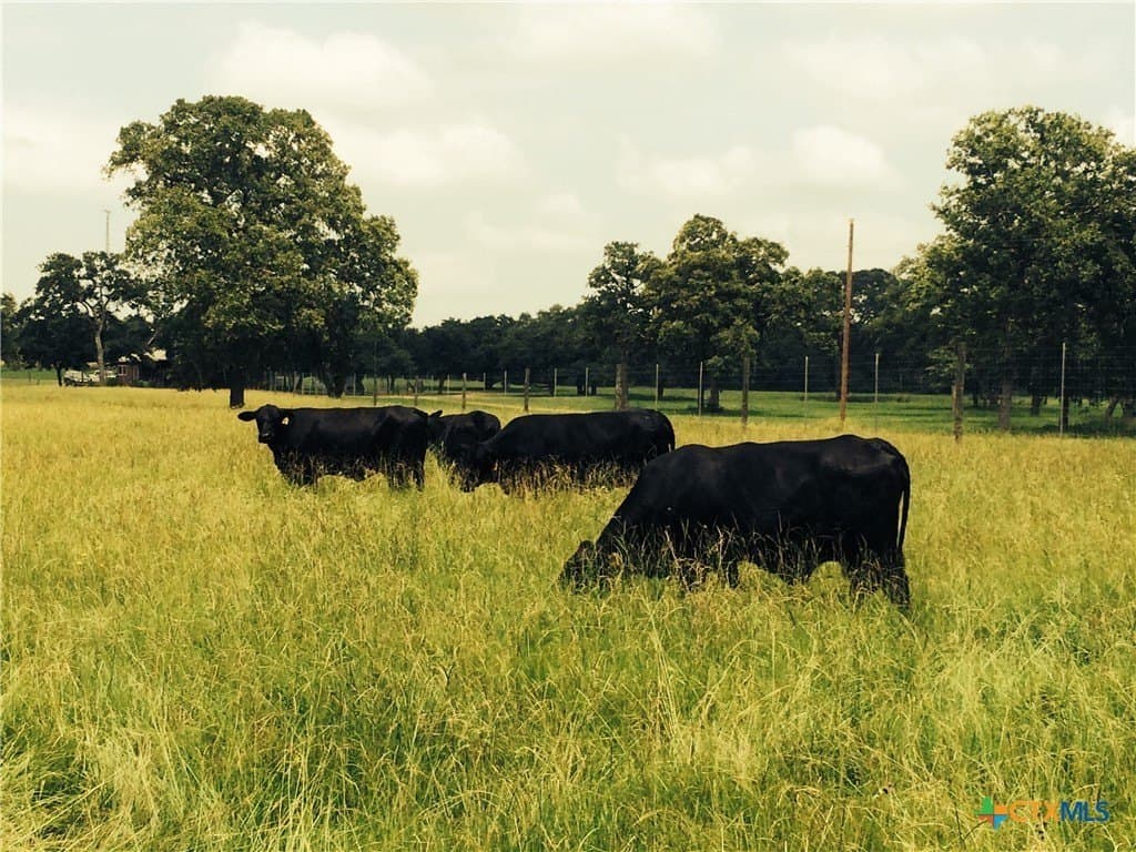 115.16 acres in Lavaca County - photo 46
