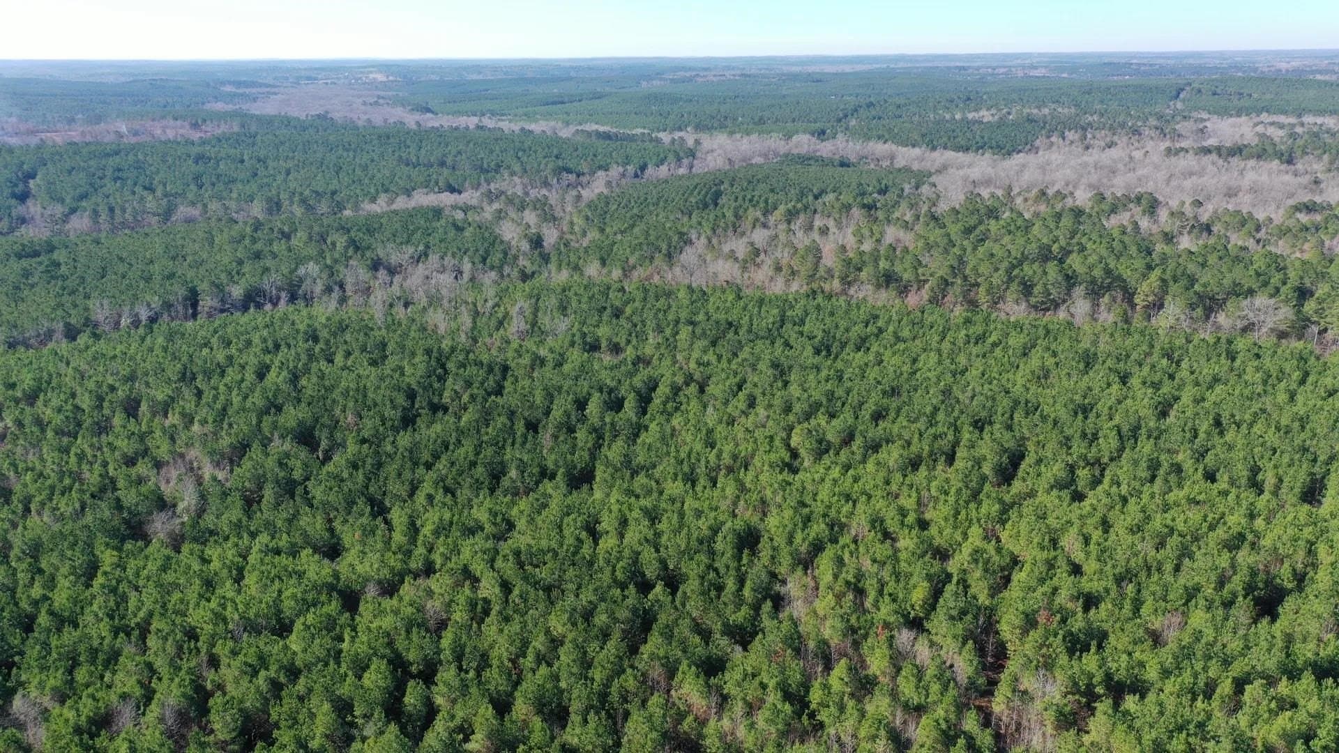 209.66 acres in Cass County - photo 7