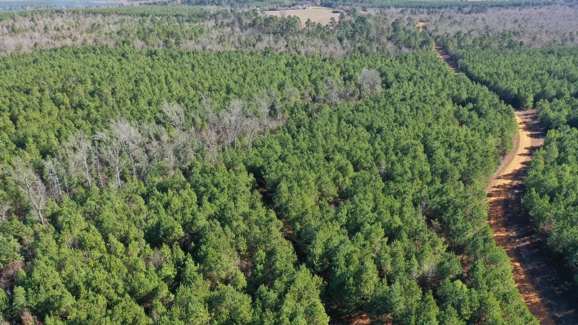 209.66 acres in Cass County - photo 11