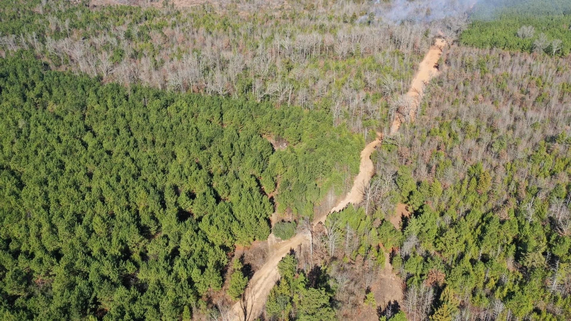 209.66 acres in Cass County - photo 10