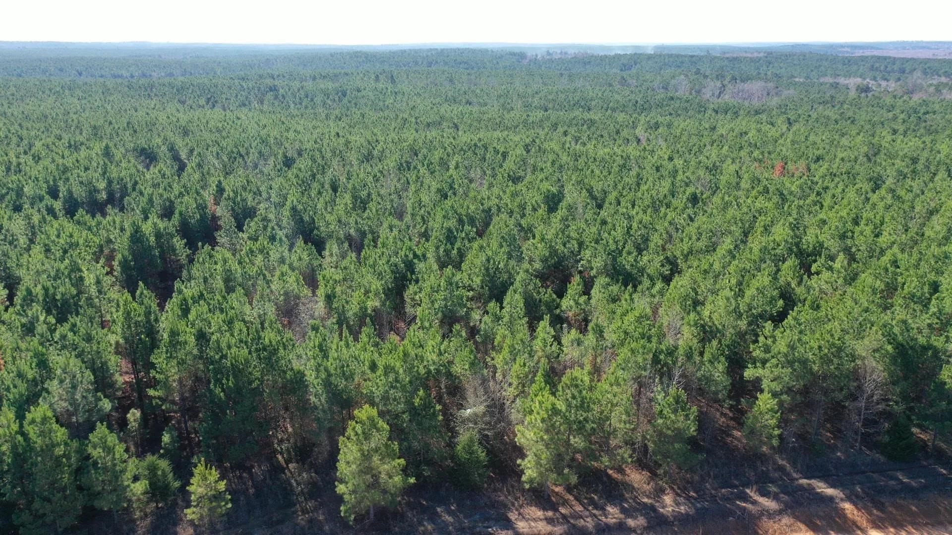 209.66 acres in Cass County - photo 3