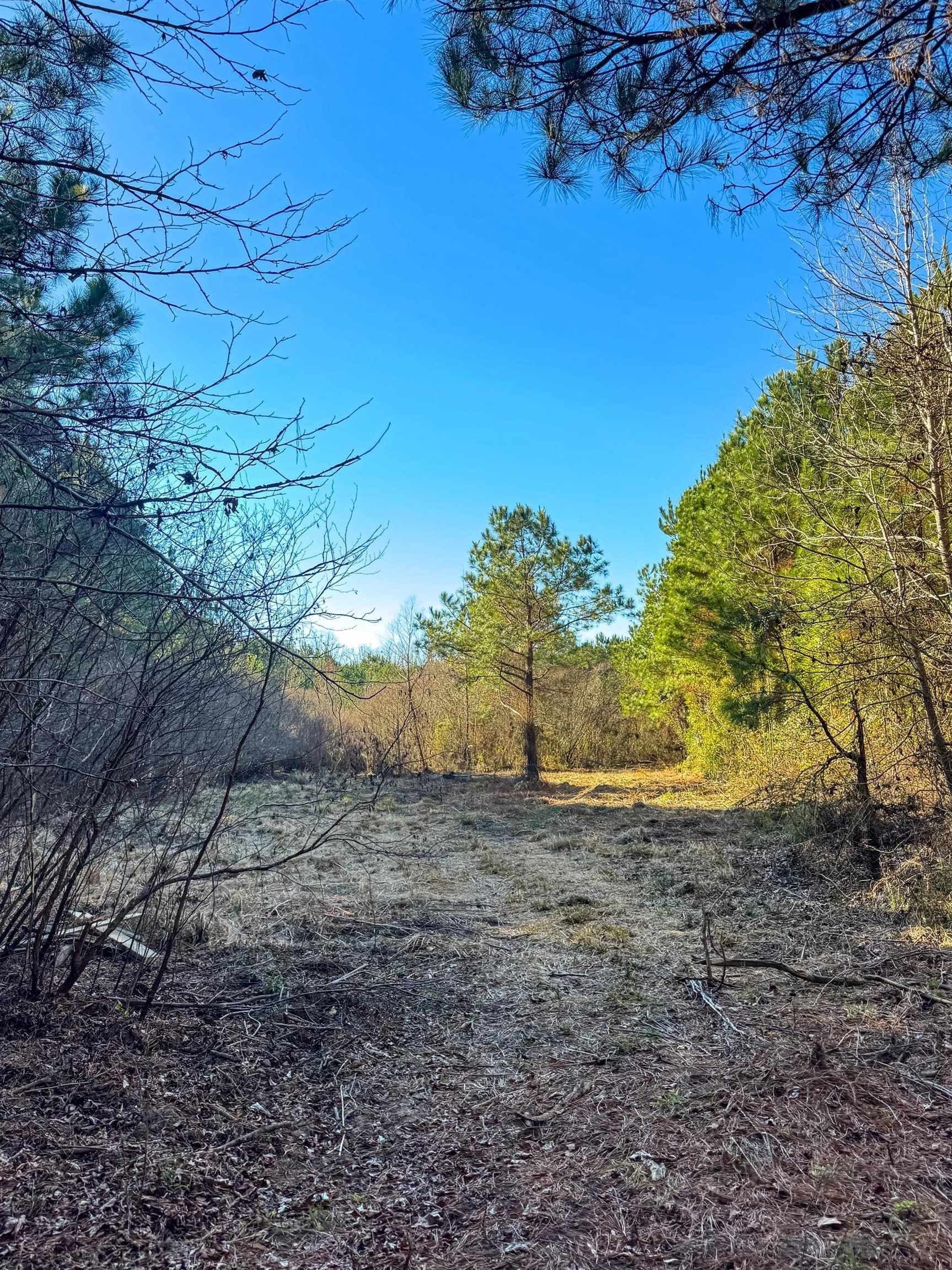 209.66 acres in Cass County - photo 16