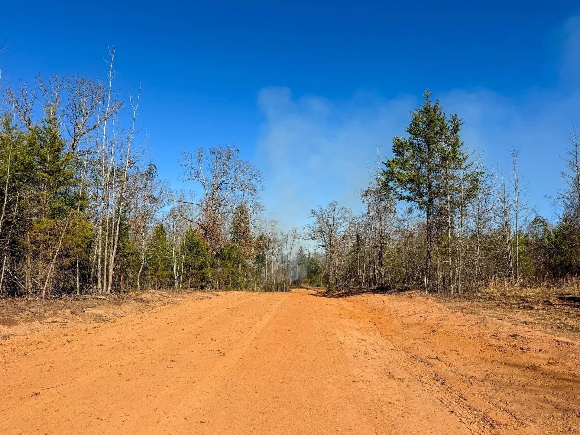 209.66 acres in Cass County - photo 5