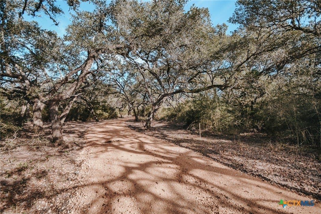 10.53 acres in Victoria County - photo 8