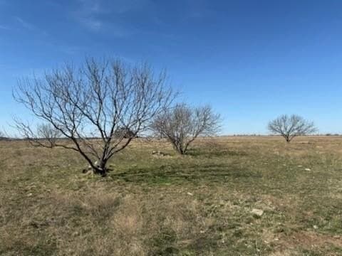 10.01 acres in Hamilton County - photo 4