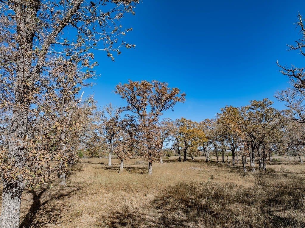 15.34 acres in Fayette County - photo 23