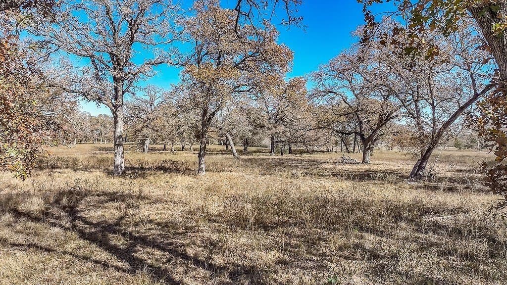 15.34 acres in Fayette County - photo 6
