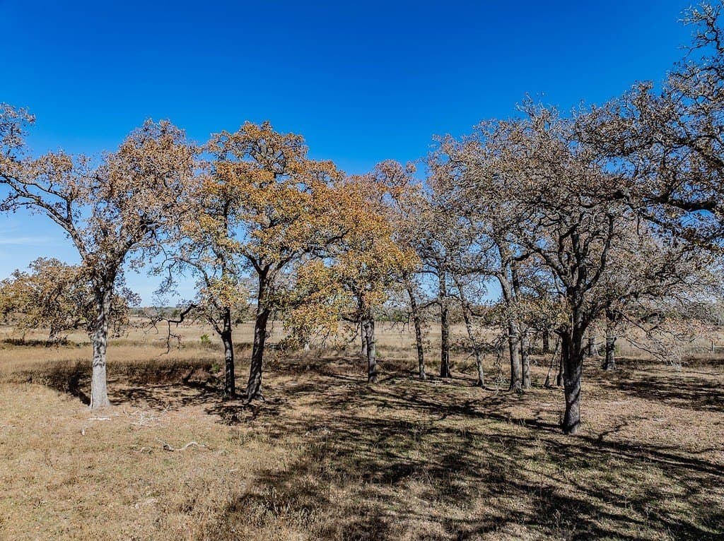 15.34 acres in Fayette County - photo 22