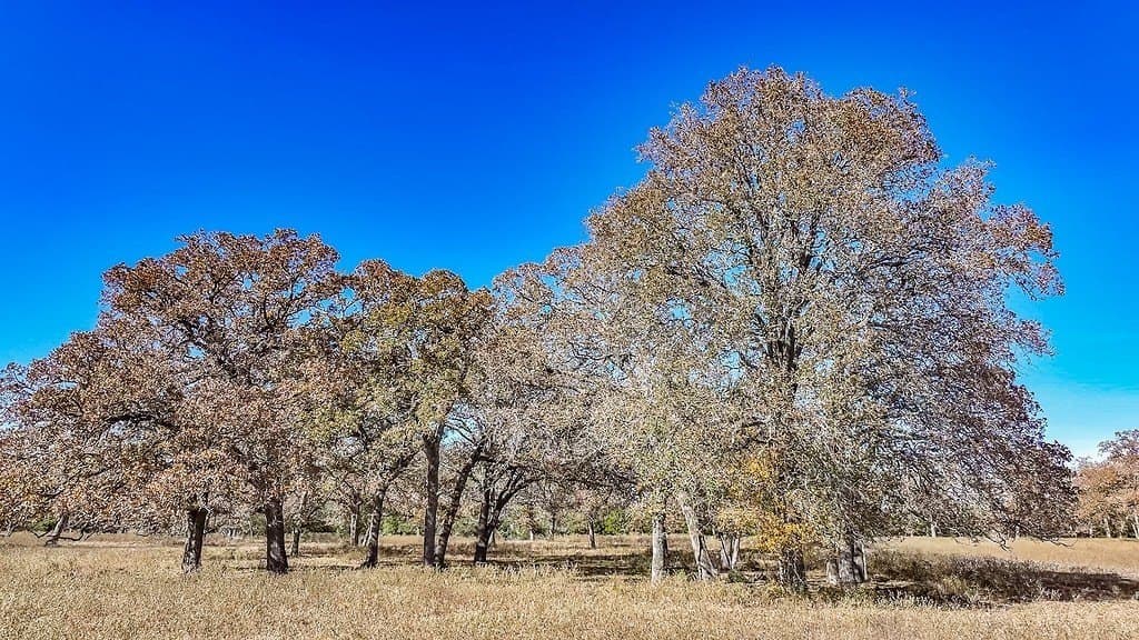 15.34 acres in Fayette County - photo 3