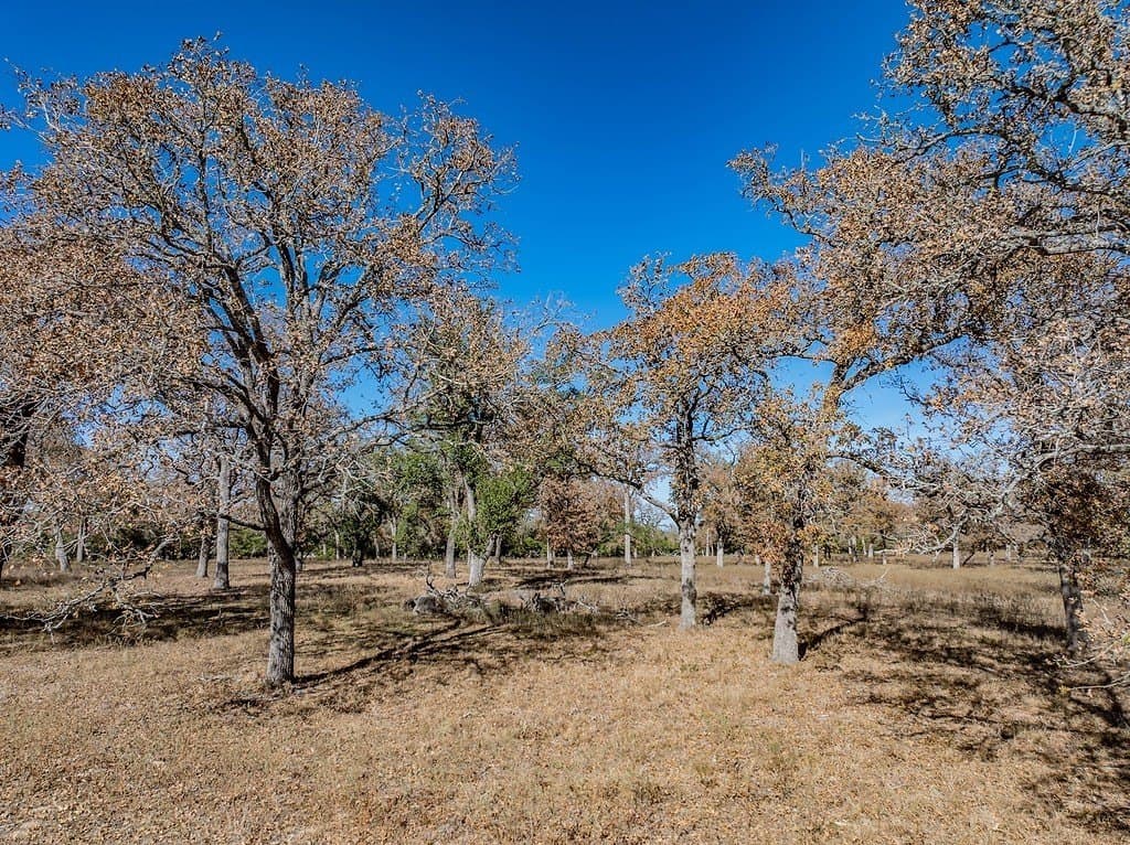 15.34 acres in Fayette County - photo 29