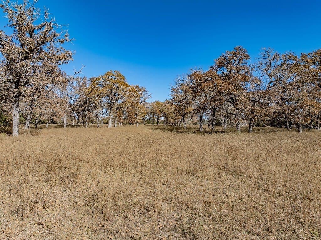 15.34 acres in Fayette County - photo 25