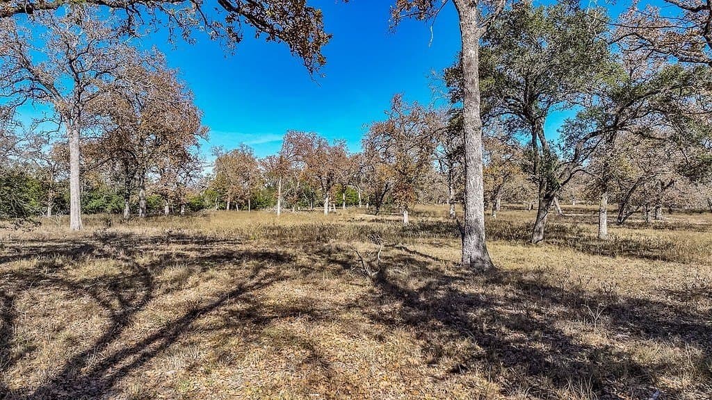 15.34 acres in Fayette County - photo 7
