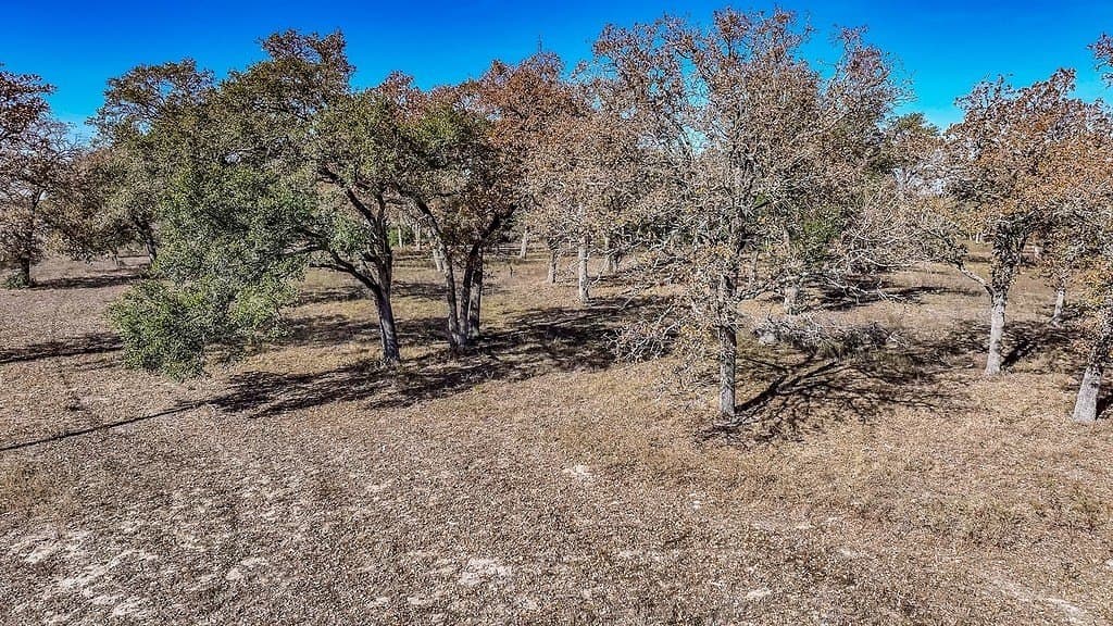15.34 acres in Fayette County - photo 8