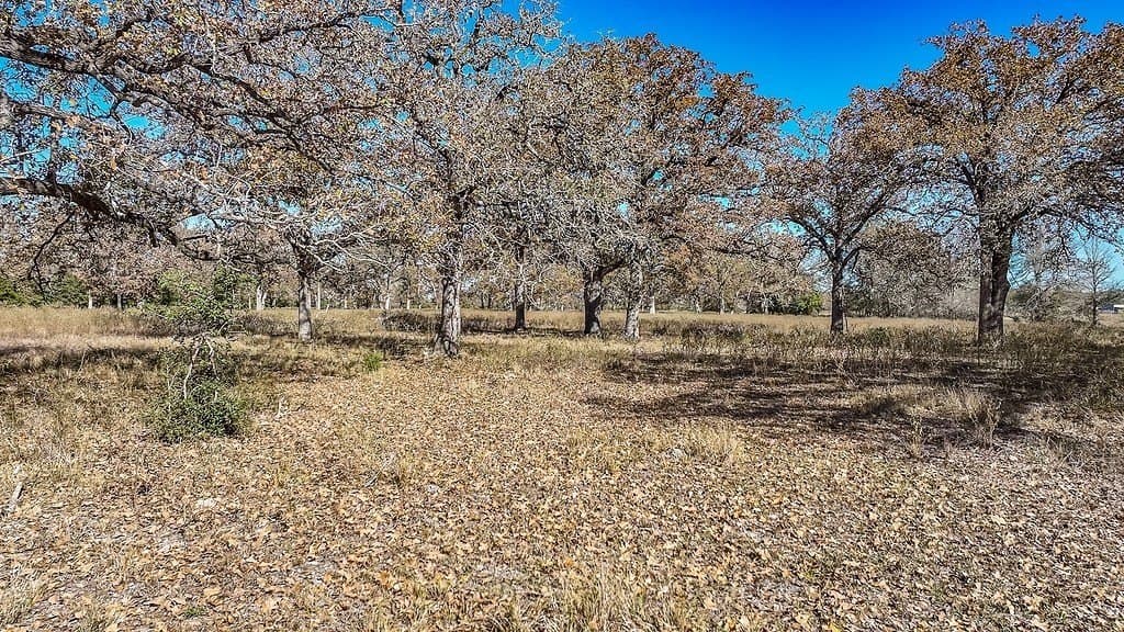 15.34 acres in Fayette County - photo 5