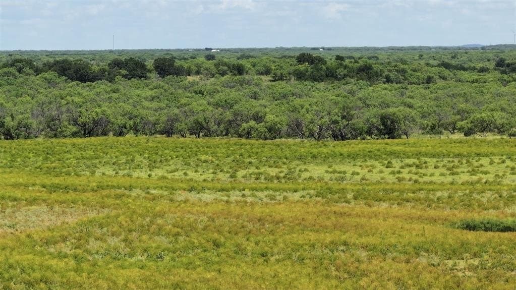 406 acres in Shackelford County - photo 13