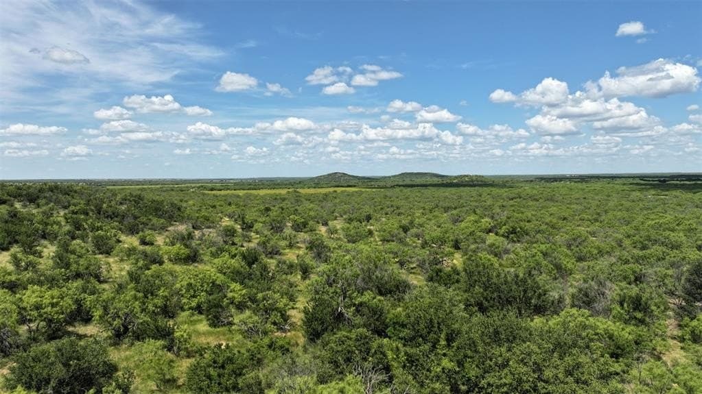406 acres in Shackelford County - photo 4