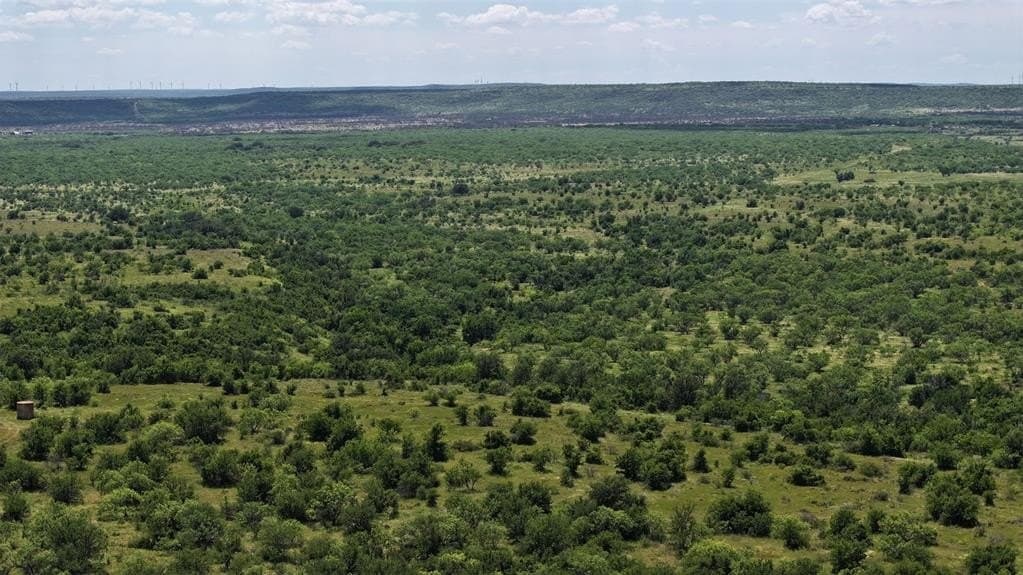 406 acres in Shackelford County - photo 11