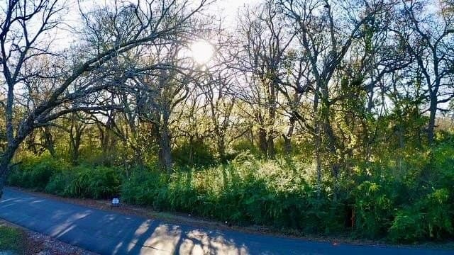 1 acres in Fannin County - photo 4