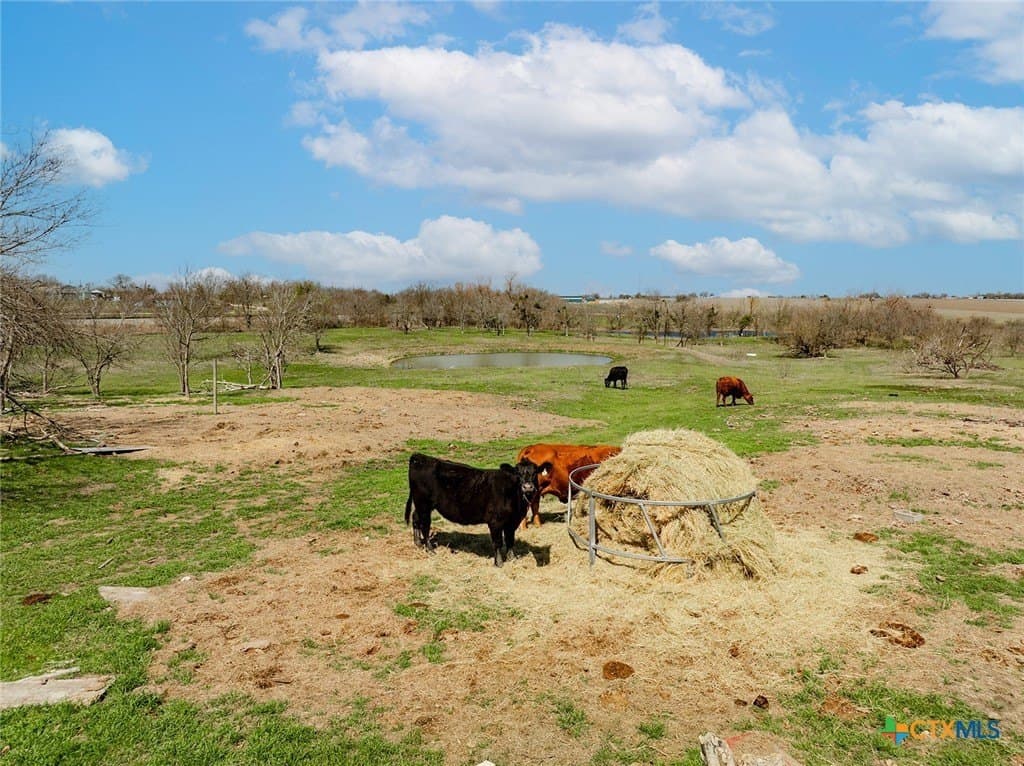 26.67 acres in Williamson County - photo 26