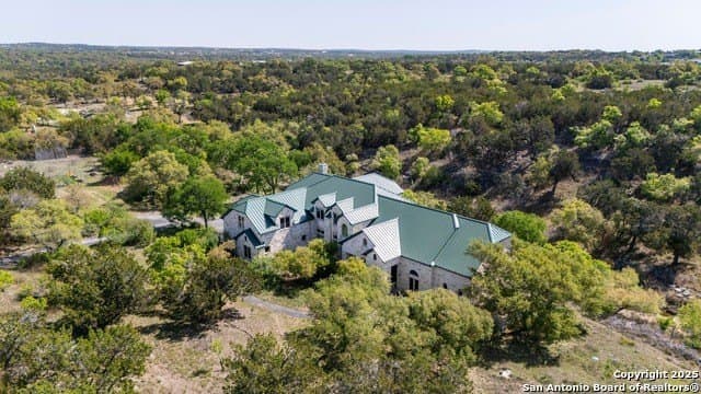 20.08 acres in Hays County - photo 3