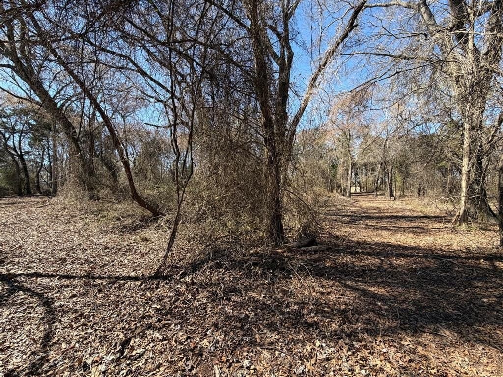 10.01 acres in Henderson County - photo 10