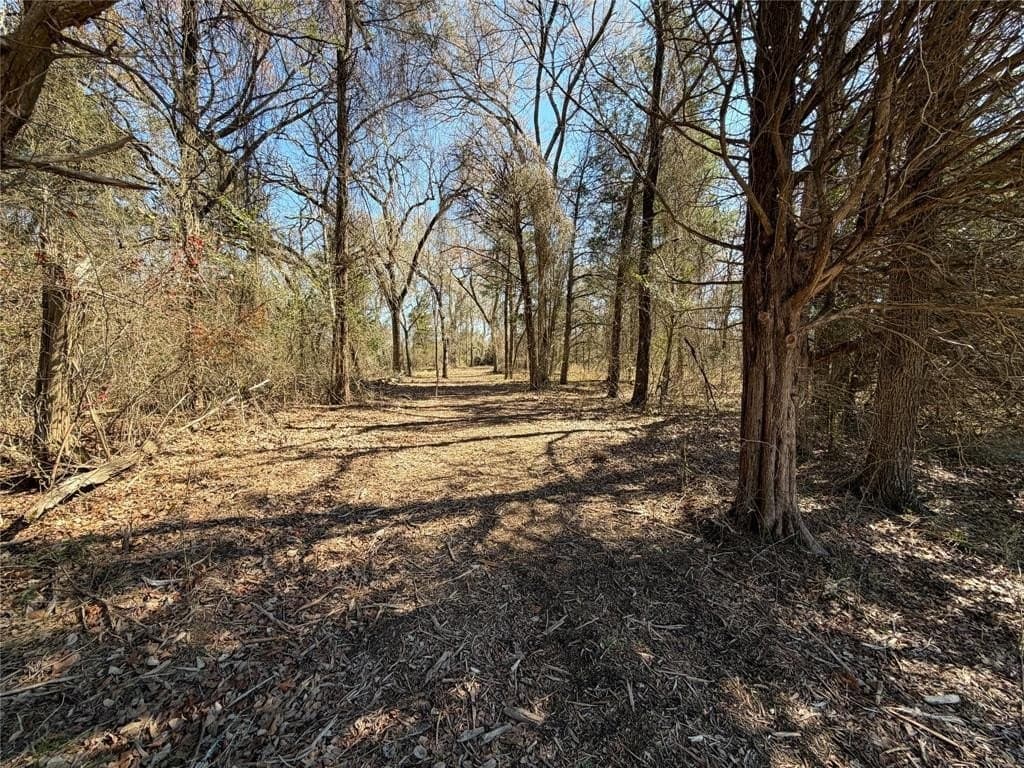 10.01 acres in Henderson County - photo 11