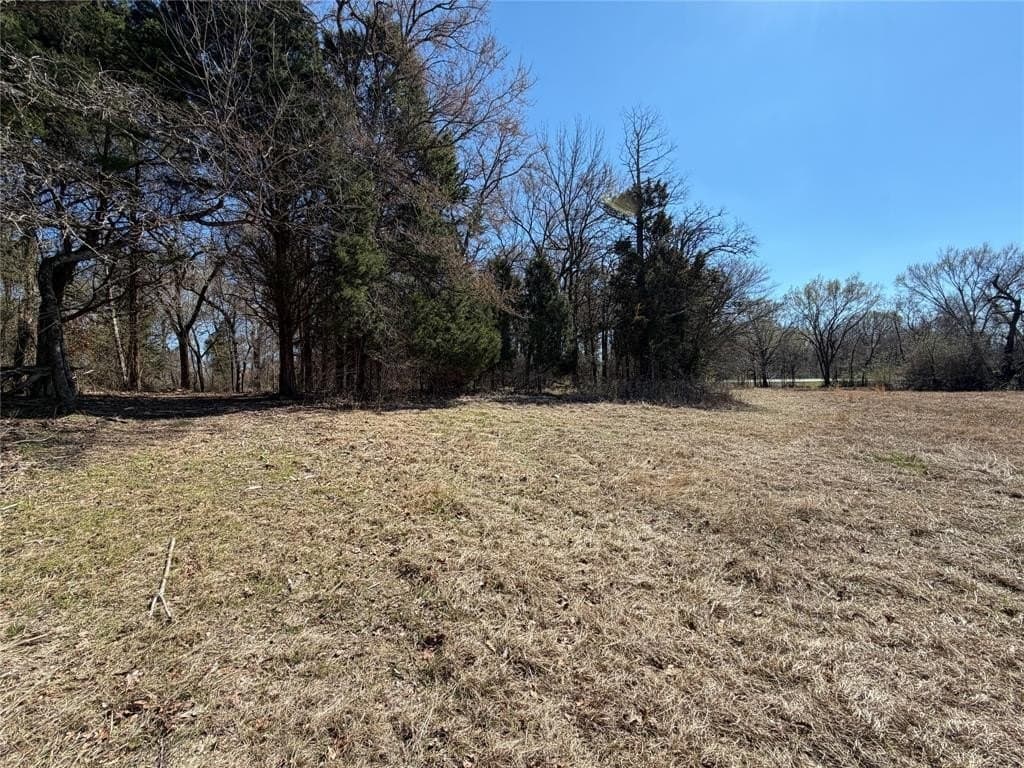 10.01 acres in Henderson County - photo 9