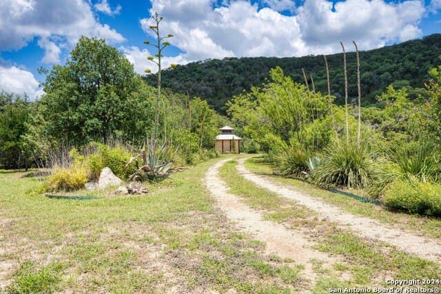 30 acres in Bandera County - photo 50