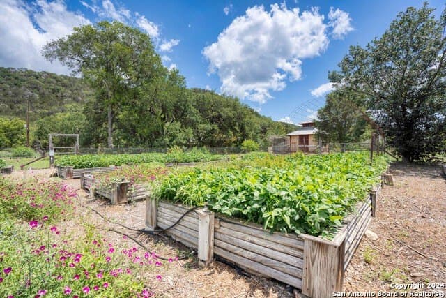 30 acres in Bandera County - photo 47