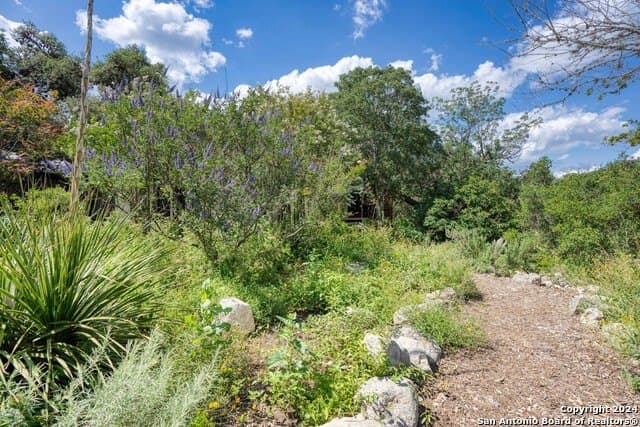 30 acres in Bandera County - photo 51