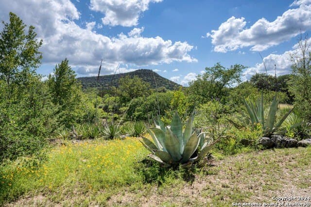 30 acres in Bandera County - photo 52
