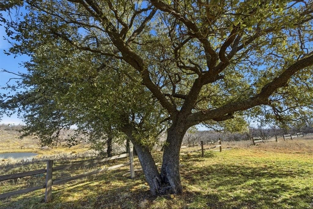 155 acres in Callahan County - photo 28
