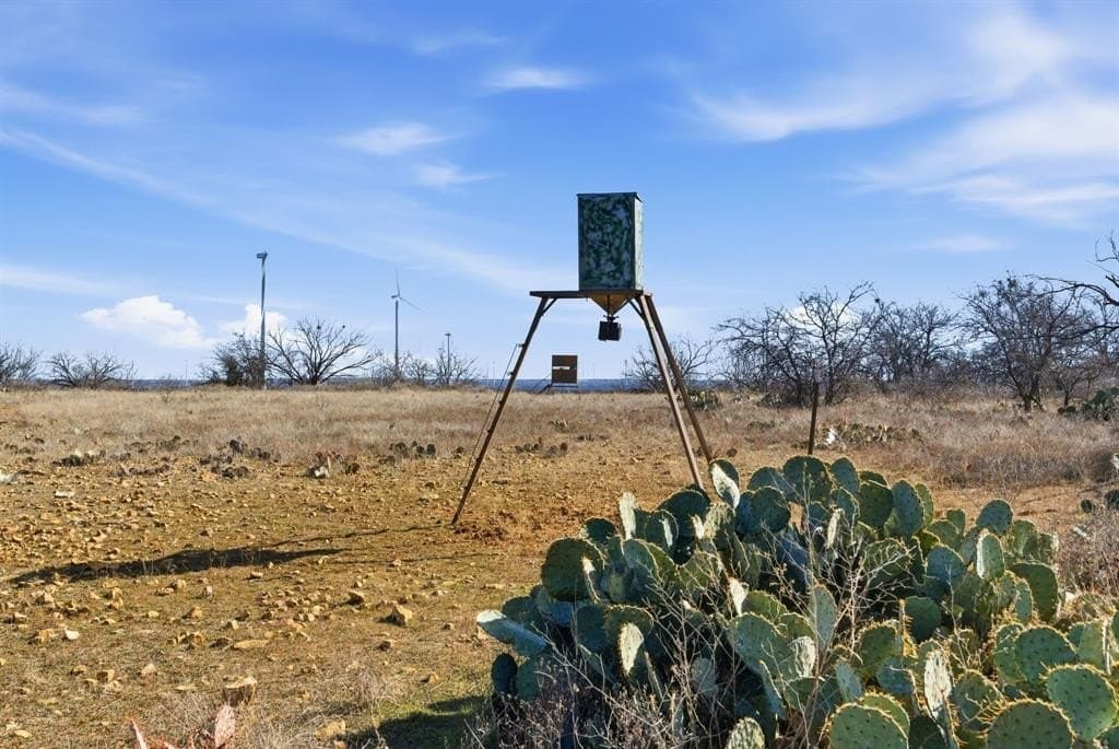 155 acres in Callahan County - photo 35