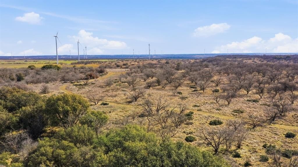 155 acres in Callahan County - photo 40