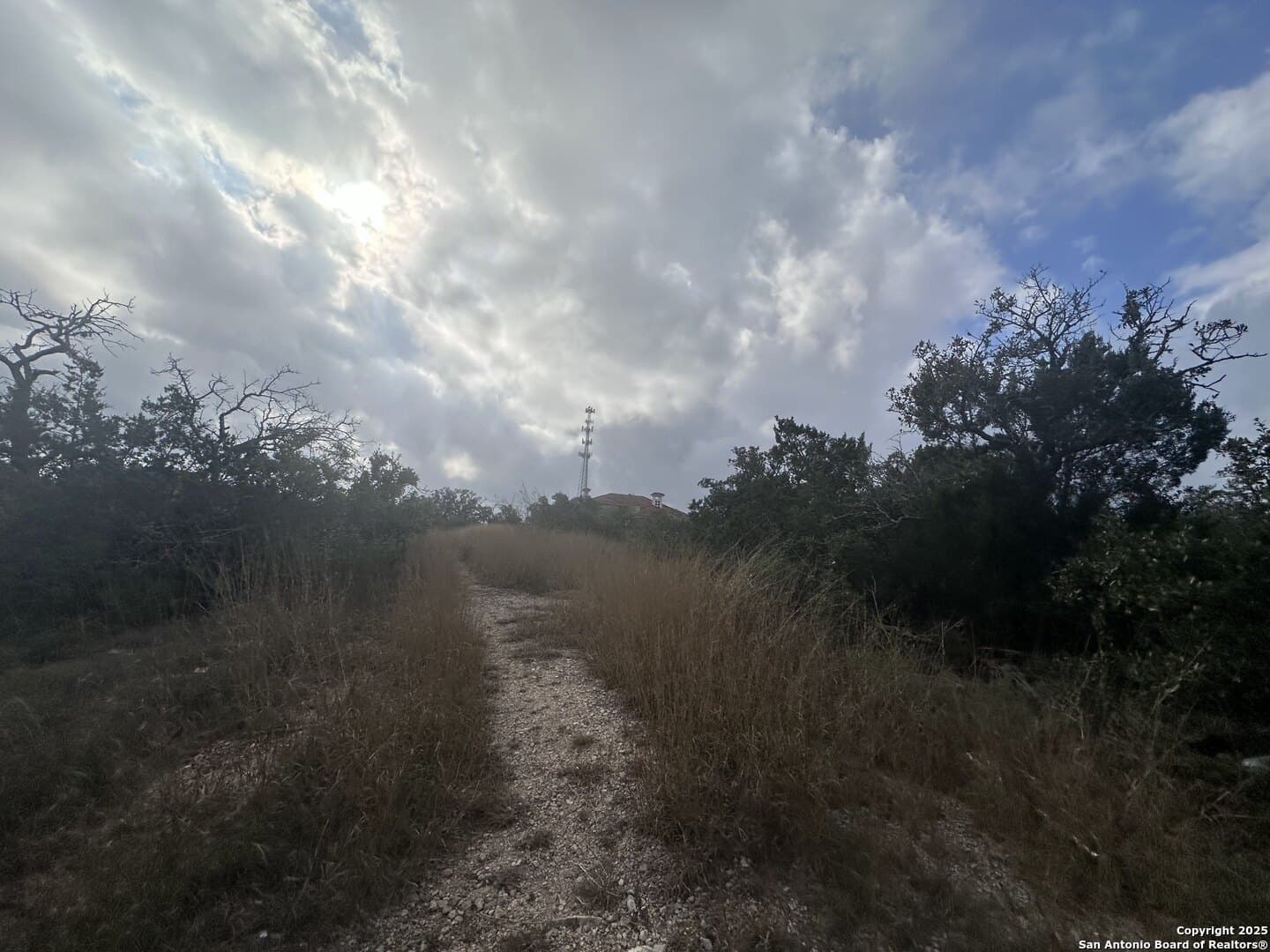 10.01 acres in Medina County - photo 15