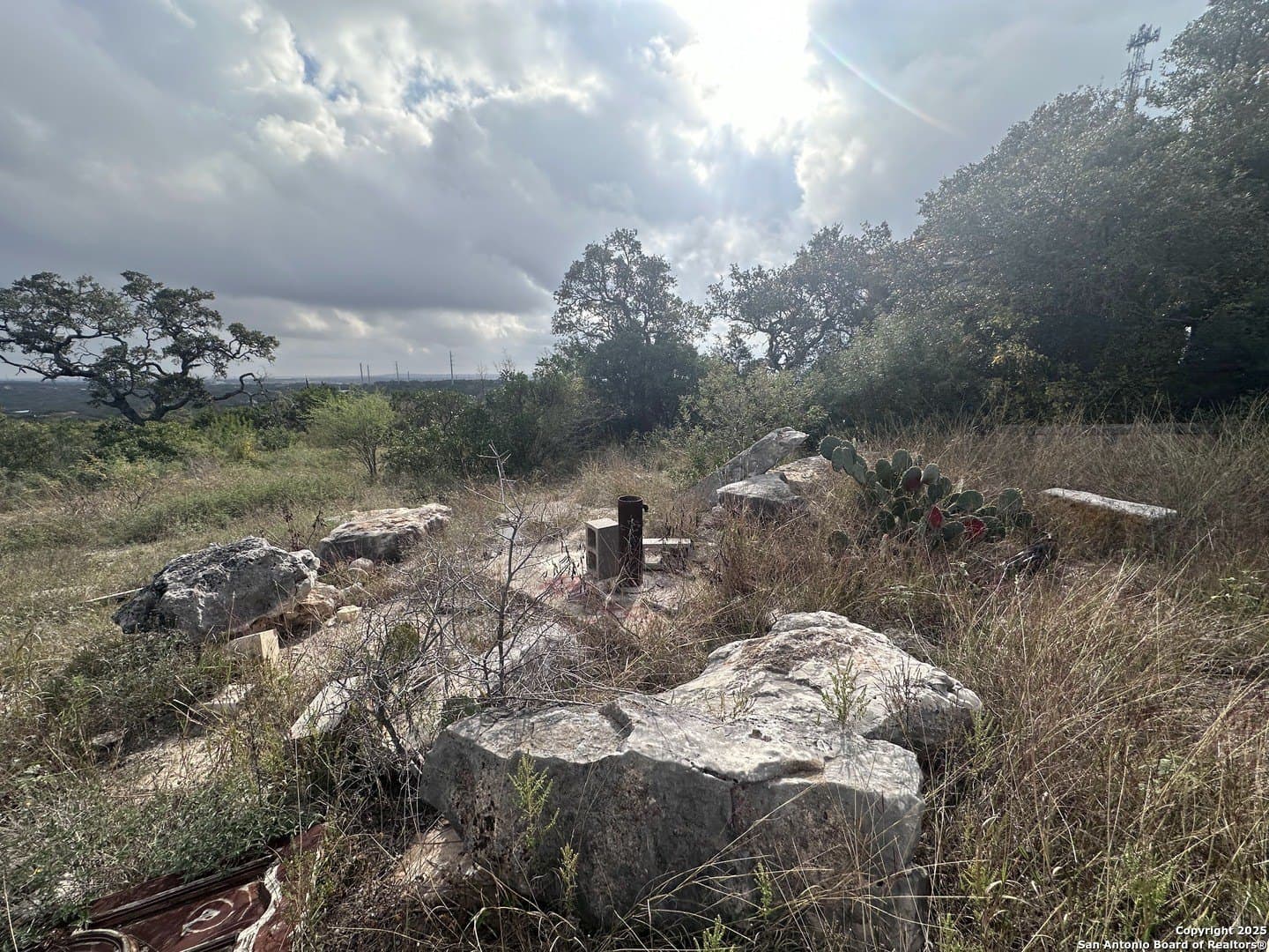 10.01 acres in Medina County - photo 16