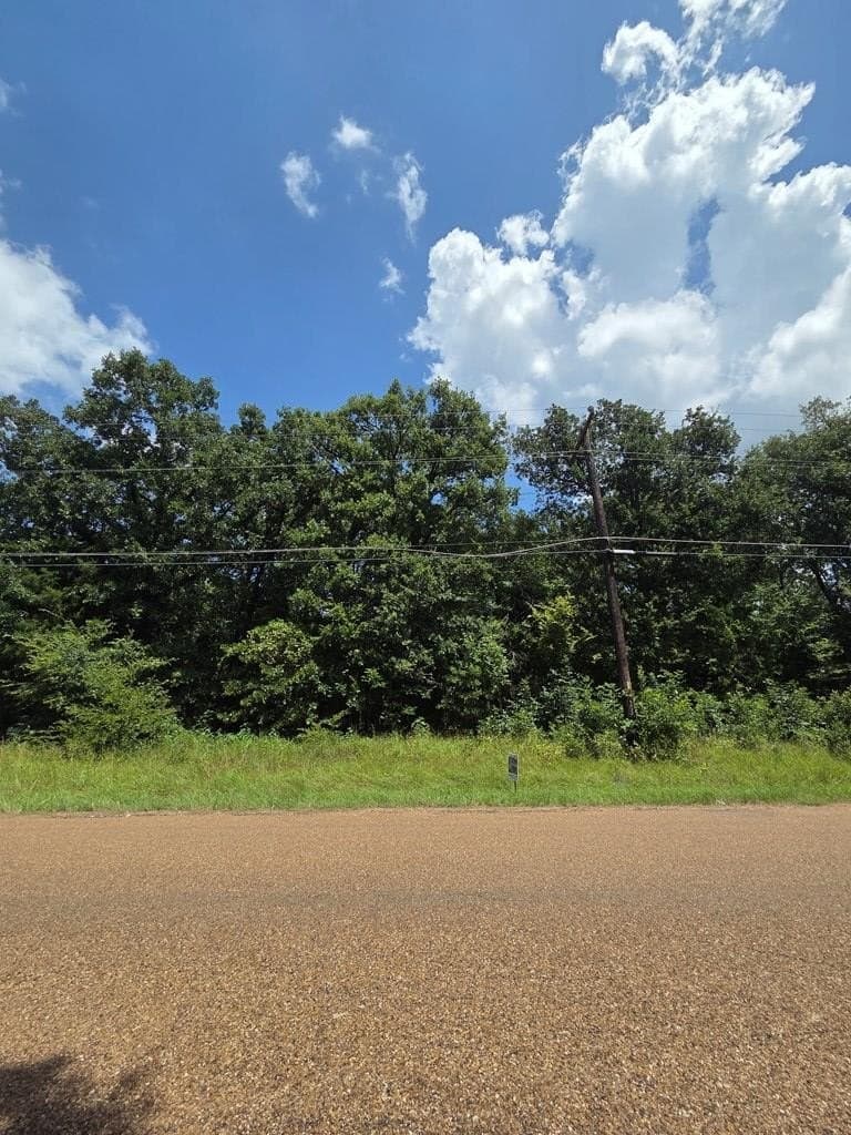 0 acres in Henderson County - photo 3
